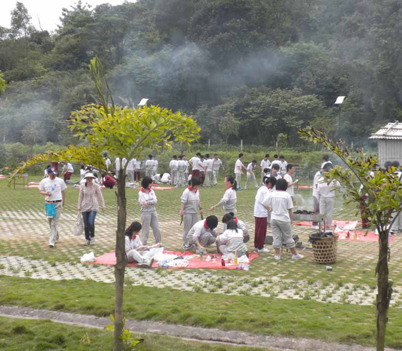 ����_˫��̶_�տ�