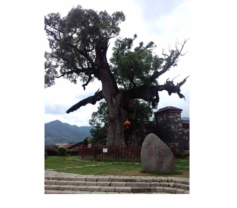 ����_ɽ�ش�_ǧ�����